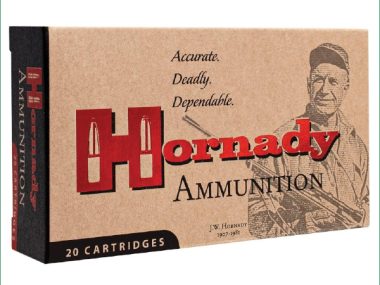 H80468 HORNADY 243WIN 87GR VMAX