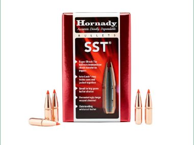 H30702 HORNADY 30CAL 308 180GR SST