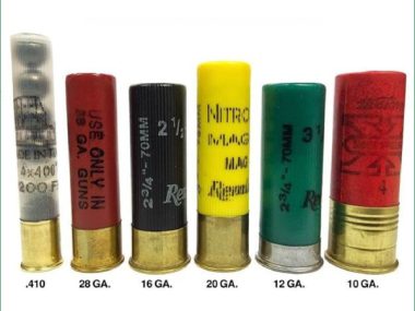10ga Shotgun