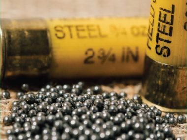 Steel Shot - all gauges