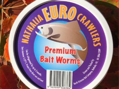 Bait