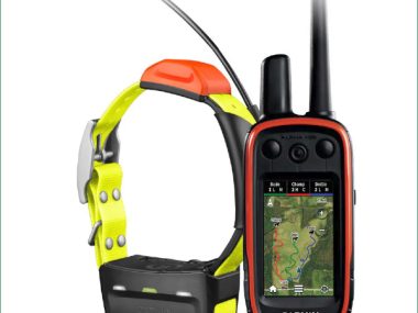 Dog Tracking Gear